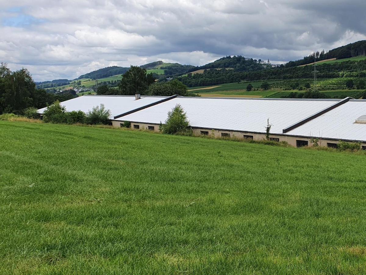 Ferienwohnungen Am Finkenweg Bestwig Bagian luar foto