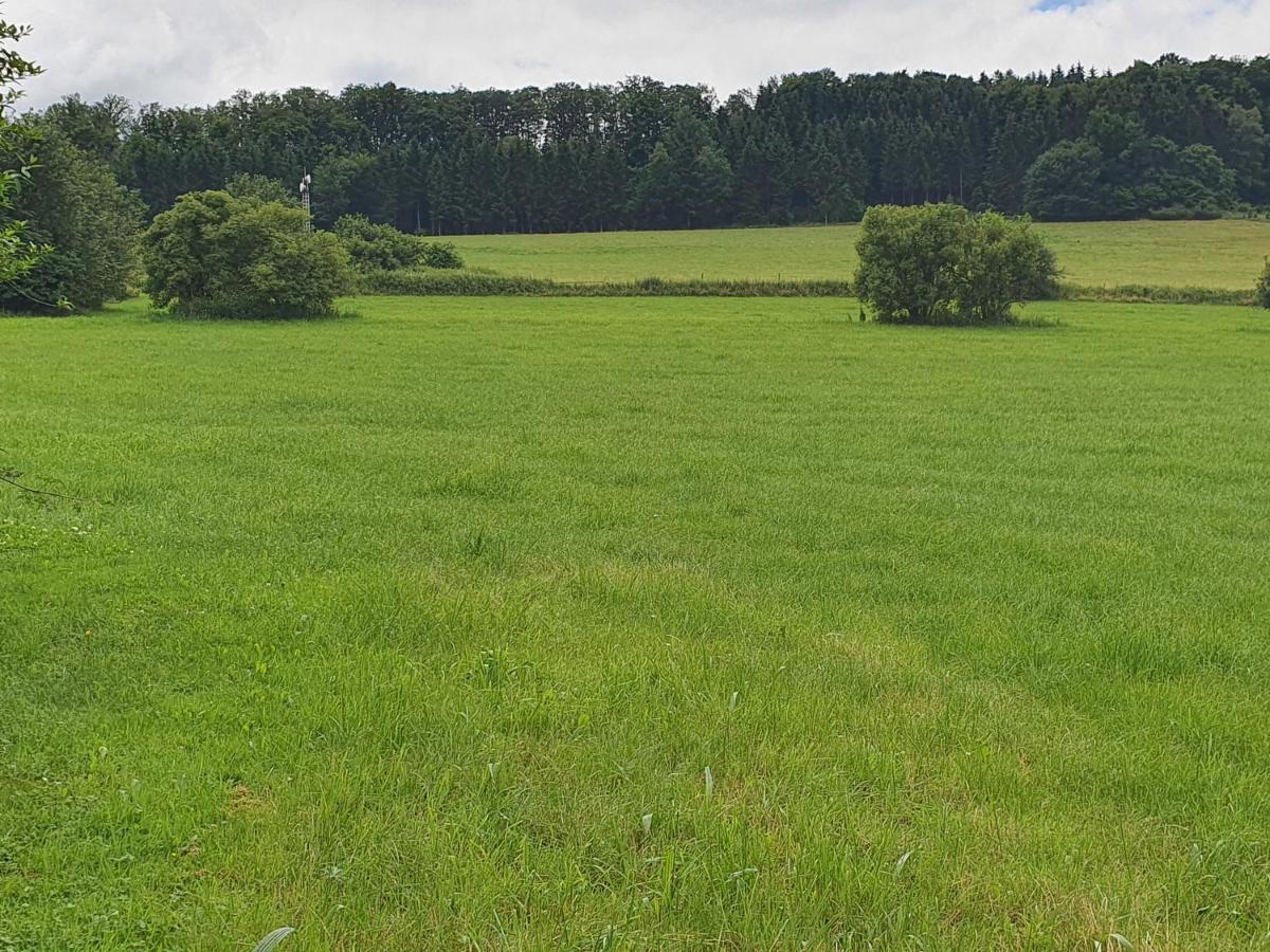 Ferienwohnungen Am Finkenweg Bestwig Bagian luar foto
